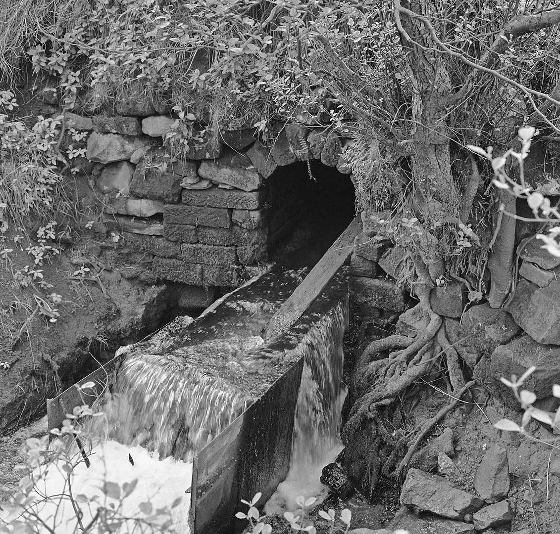 Tail of Yatestoop Sough Darley Dale 1970